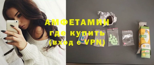 шишки Горнозаводск