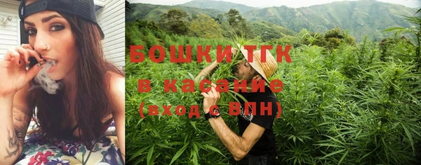 шишки Горнозаводск
