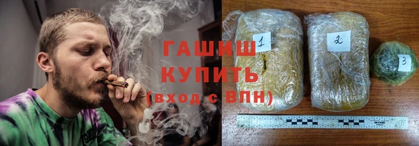 шишки Горнозаводск