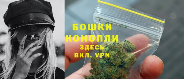 шишки Горнозаводск