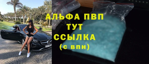 шишки Горнозаводск