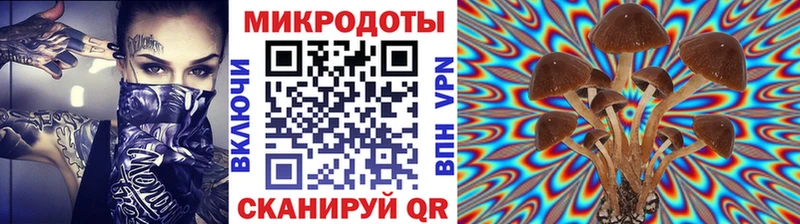 Галлюциногенные грибы MAGIC MUSHROOMS  Новопавловск 